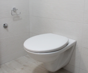 Read more about the article Bidet Toilet Installation – Do Not Worry About TP When You Install a Bidet