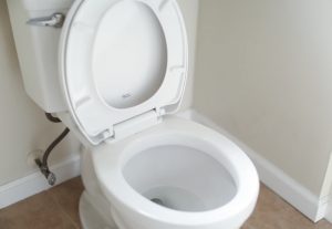 Read more about the article How to Unclog Your Toilet