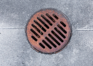 Read more about the article How to Know if You Have Problems With Your Sewer Line